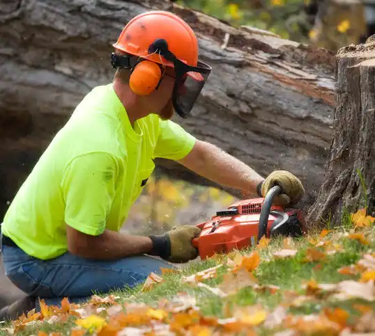 tree services Cleves